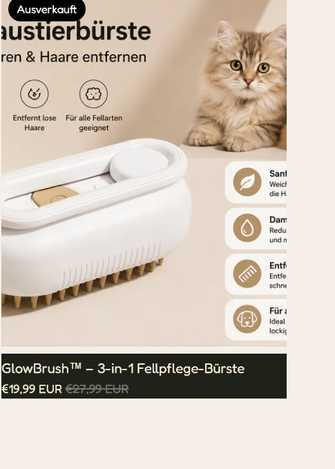 SteamBrush™ Pro